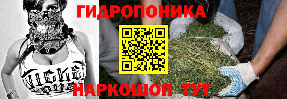Бошки марихуана индика Долгопрудный